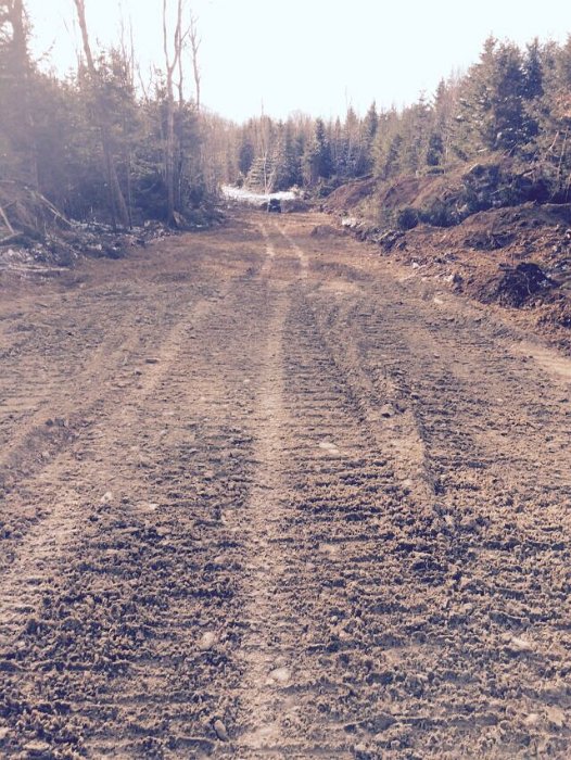 WentworthHalbinselStrasse (4)